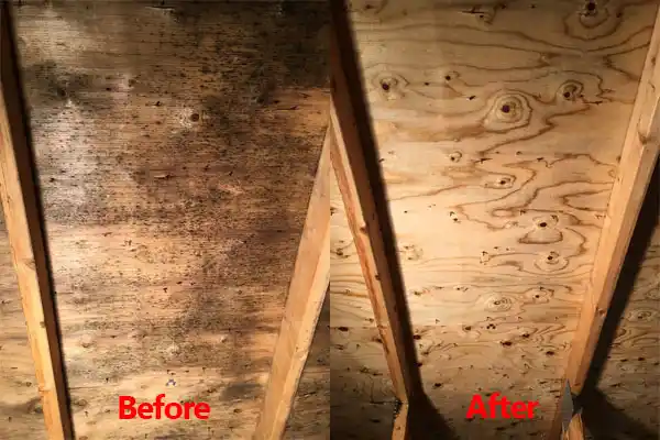 water damage restoration service Mohall